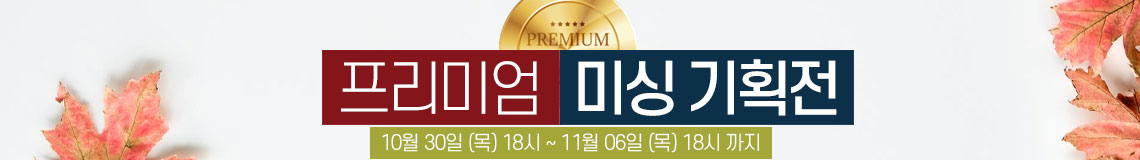 ÇÁ¸®¹Ì¾ö ¹Ì½Ì ±âȹÀü